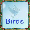 Go to Birds Page
