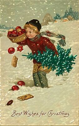 boy with tree