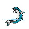 dolphin  gif