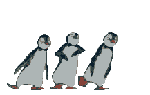 dancing penguins gif