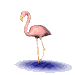 flamingo lifting leg animation