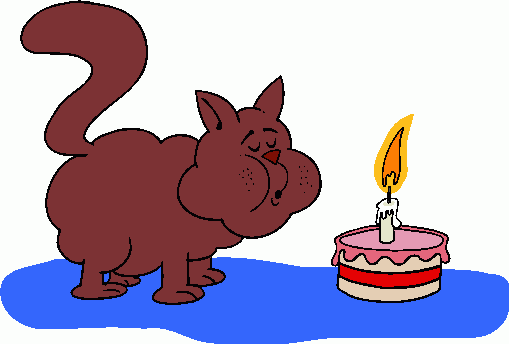 1st birthday cat gif