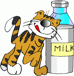 cat and milk gif
