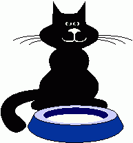 cat and dish gif